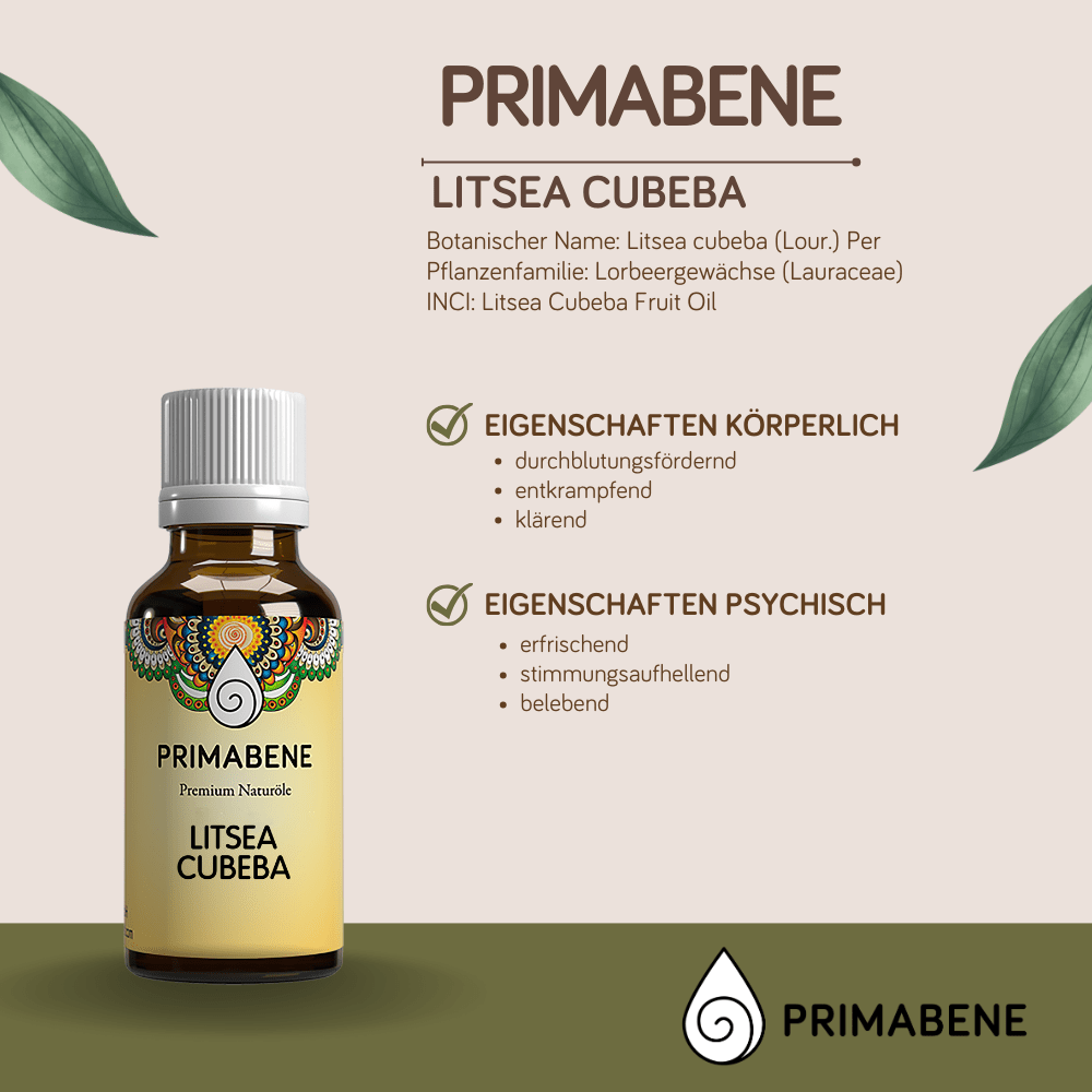 Bild von Litsea Cubeba, 100% rein ätherisches Öl